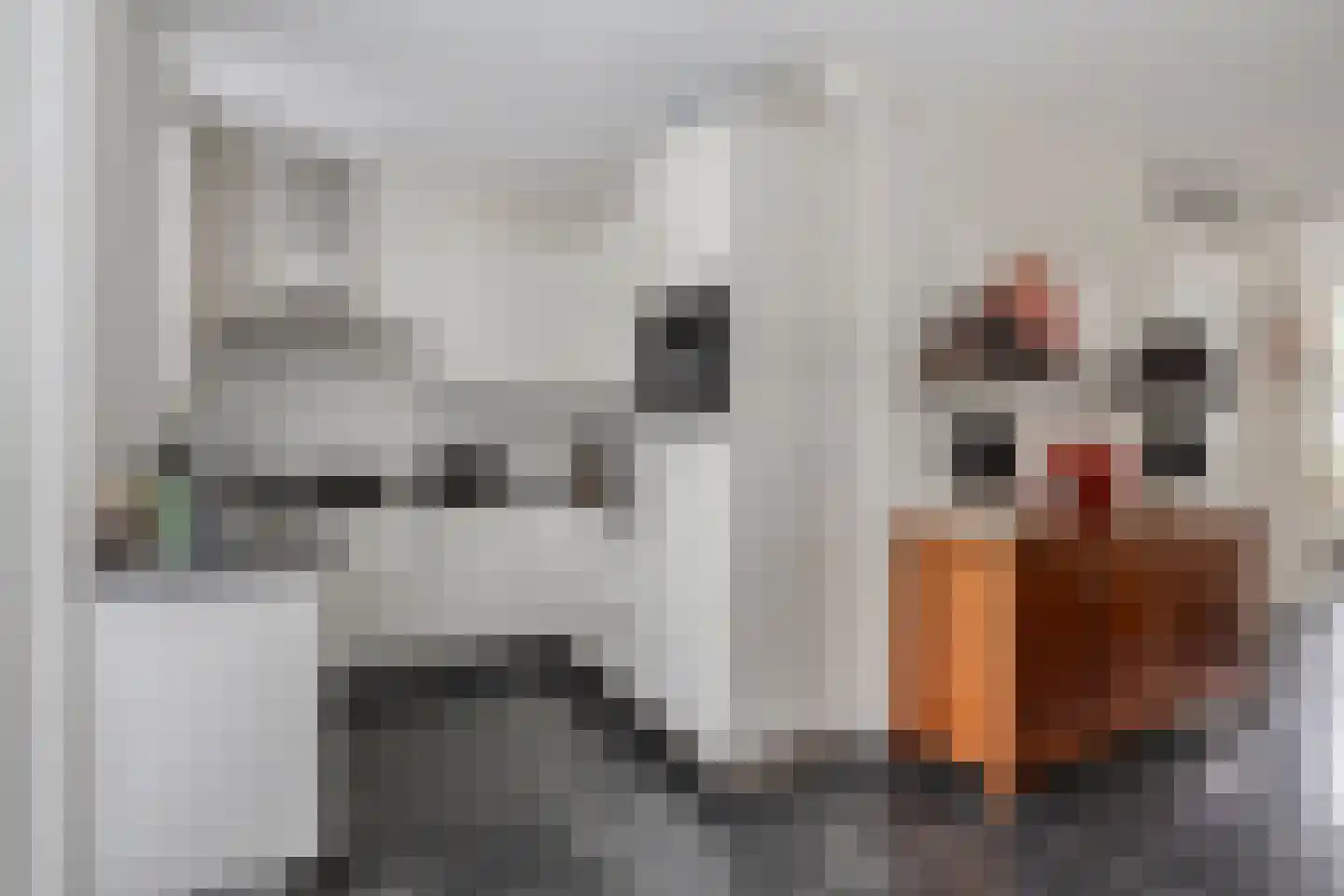 Refreinstraat 15 Rosmalen thumbnail 13