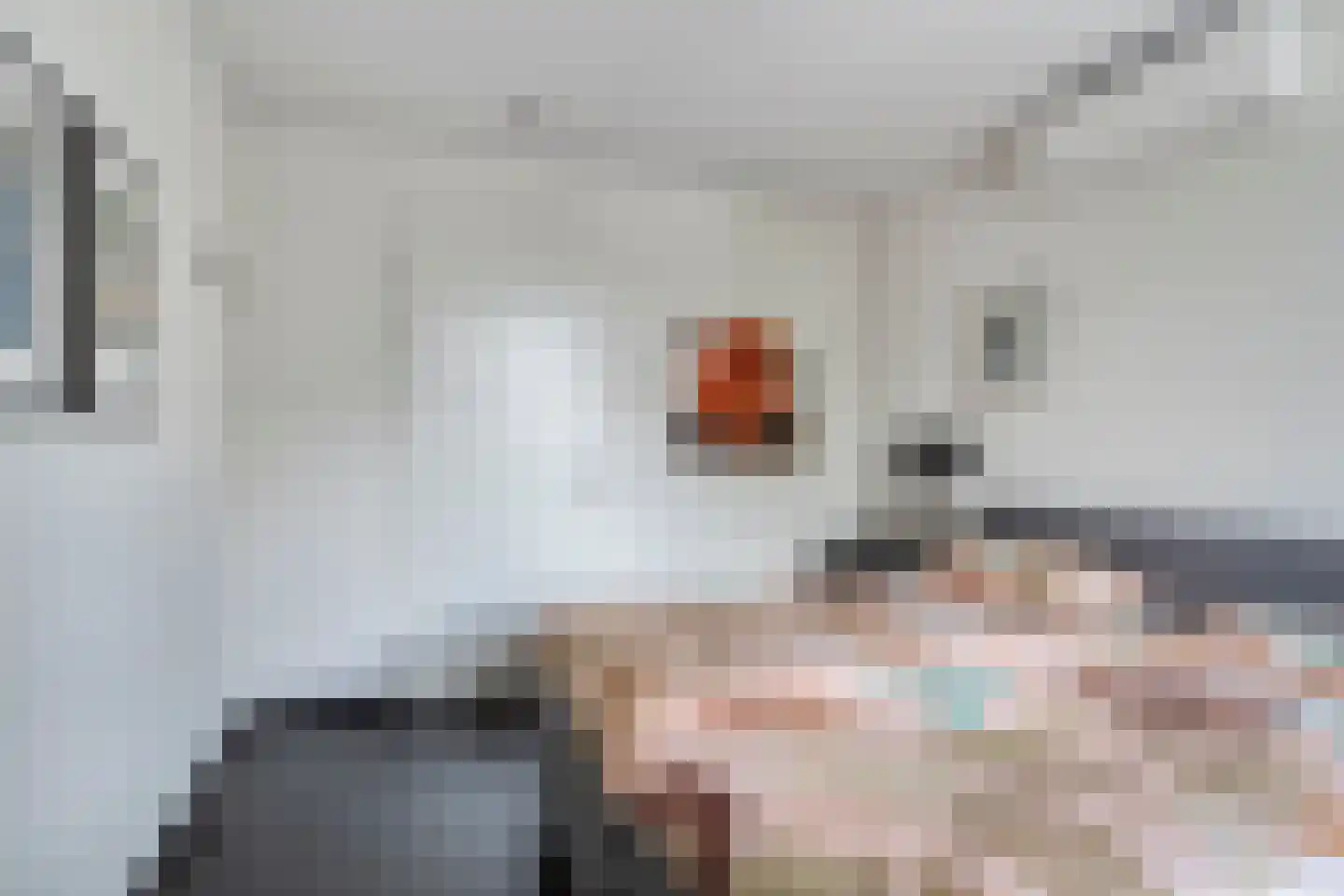 Refreinstraat 15 Rosmalen thumbnail 20