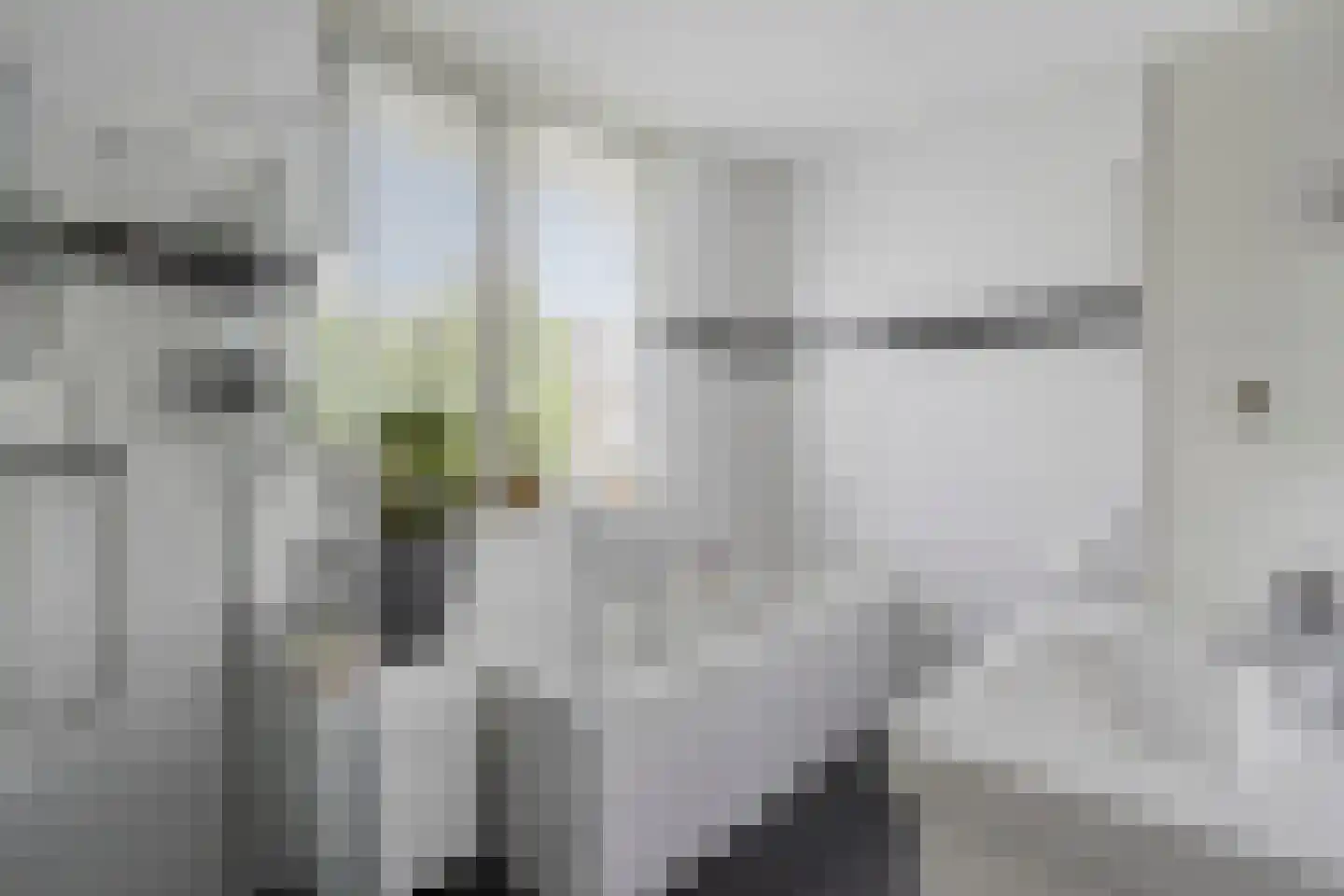 Refreinstraat 15 Rosmalen thumbnail 24