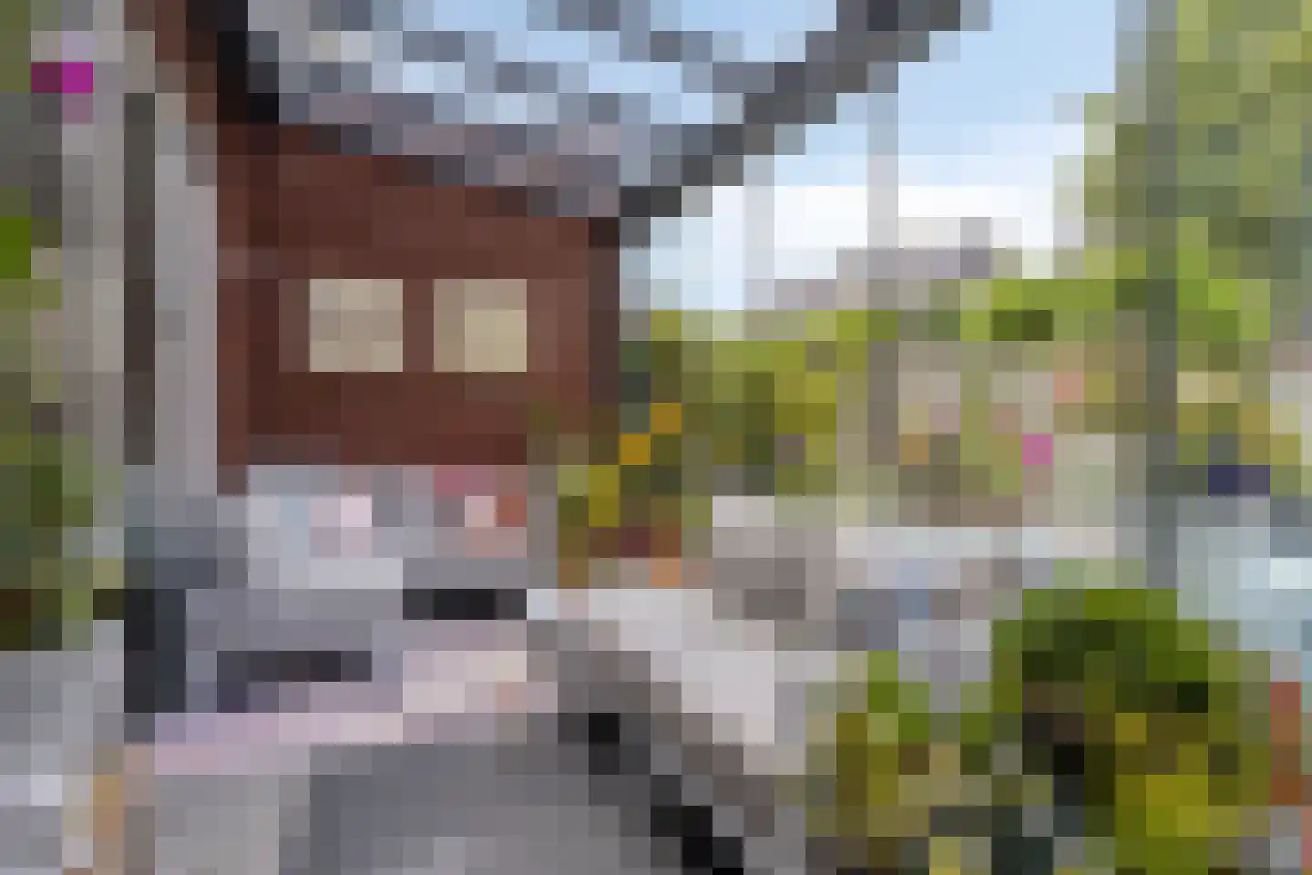 Refreinstraat 15 Rosmalen thumbnail 30