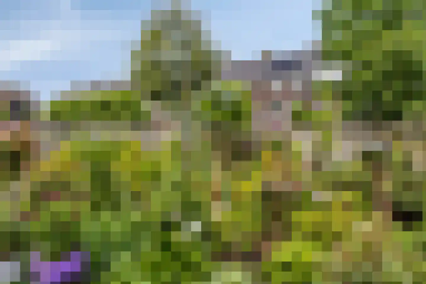 Refreinstraat 15 Rosmalen thumbnail 32