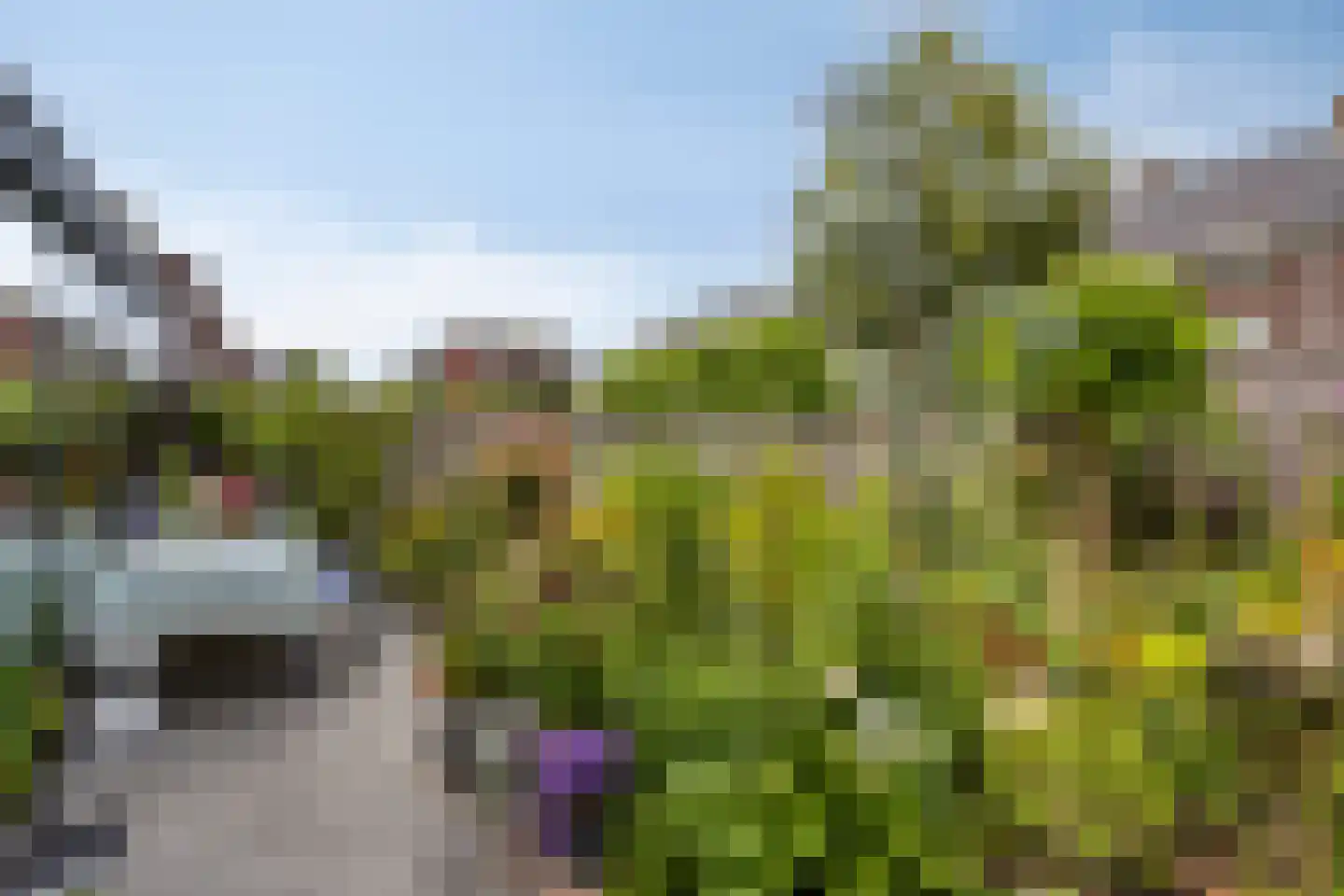 Refreinstraat 15 Rosmalen thumbnail 33