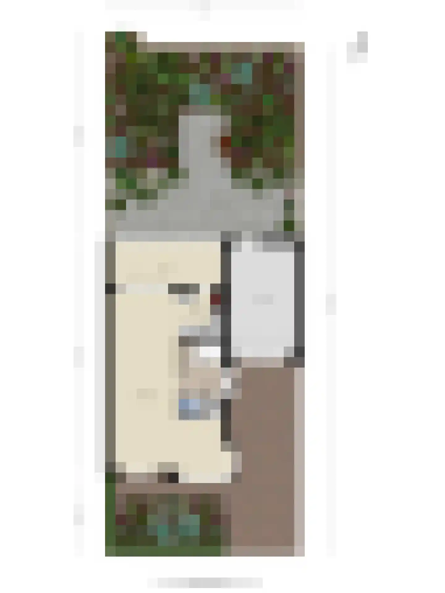 Refreinstraat 15 Rosmalen thumbnail 43