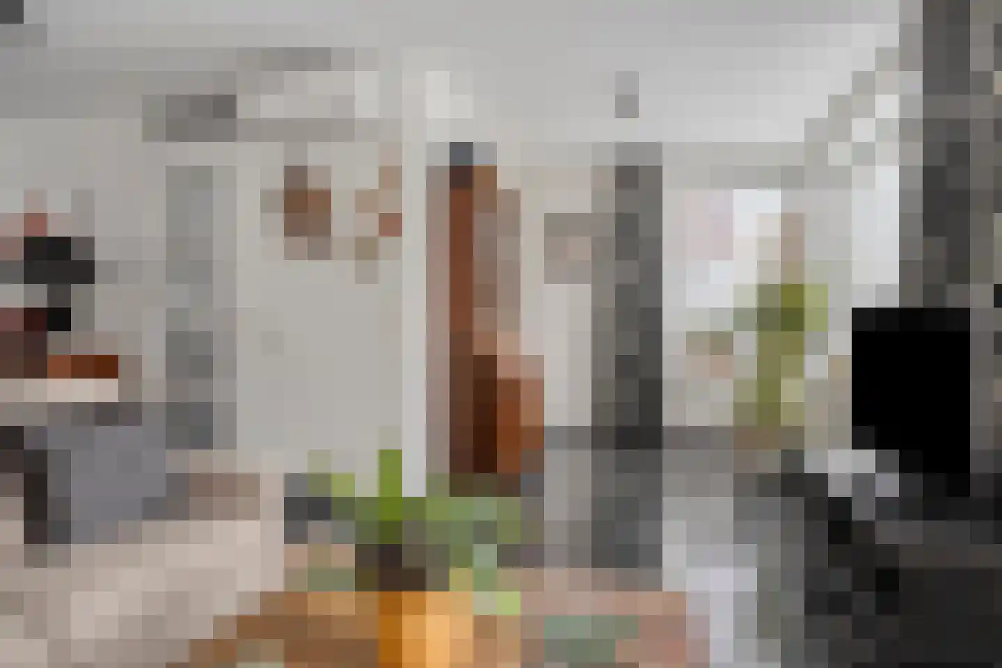 Refreinstraat 15 Rosmalen thumbnail 5