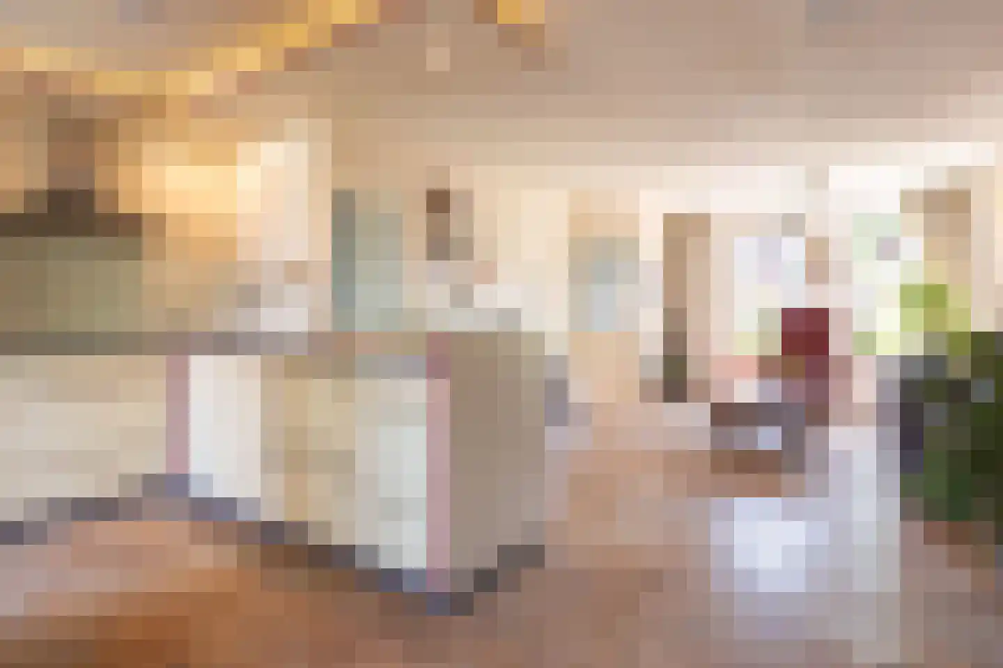 Refter 1 Blokker thumbnail 10