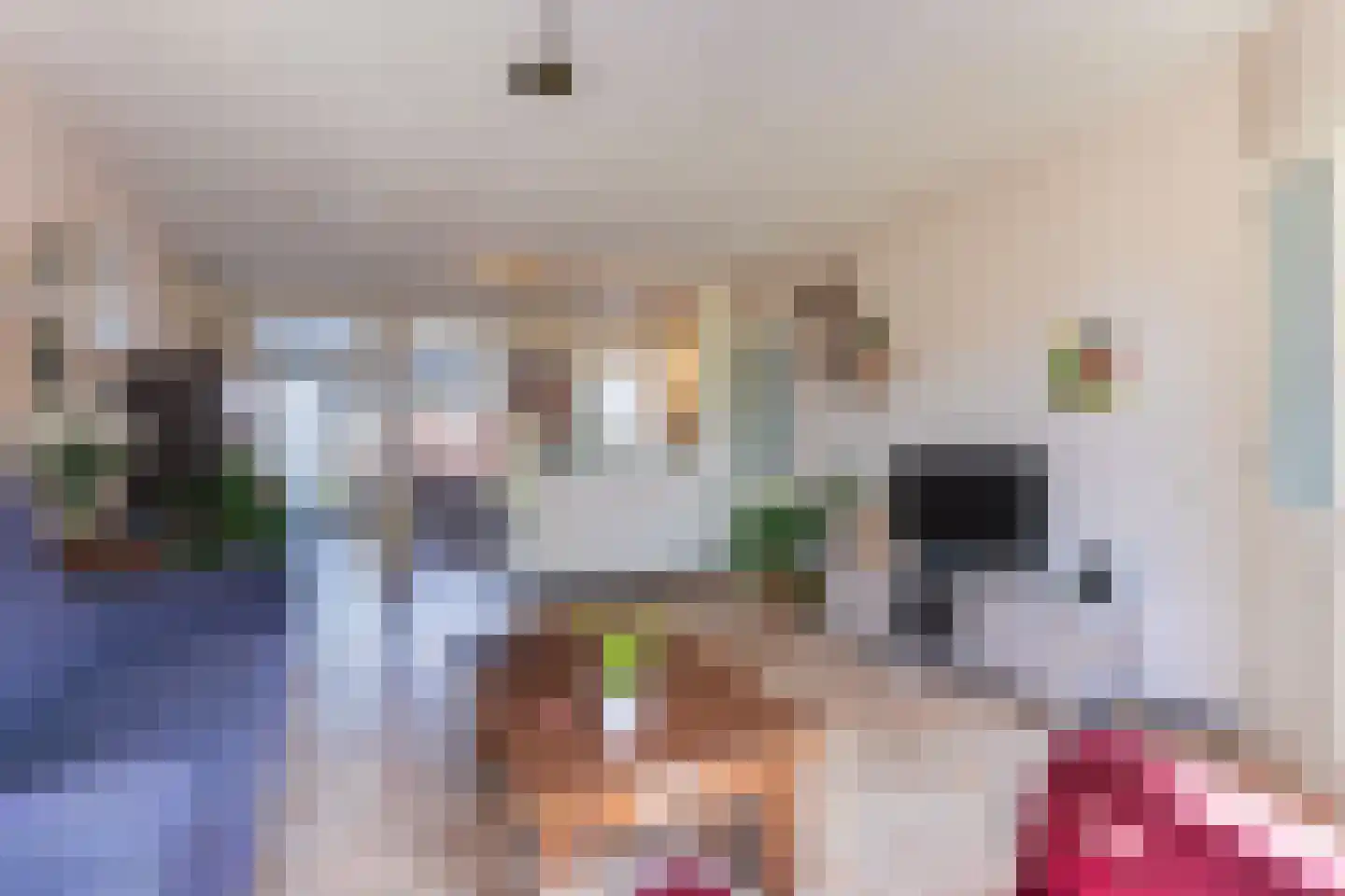 Refter 1 Blokker foto 2