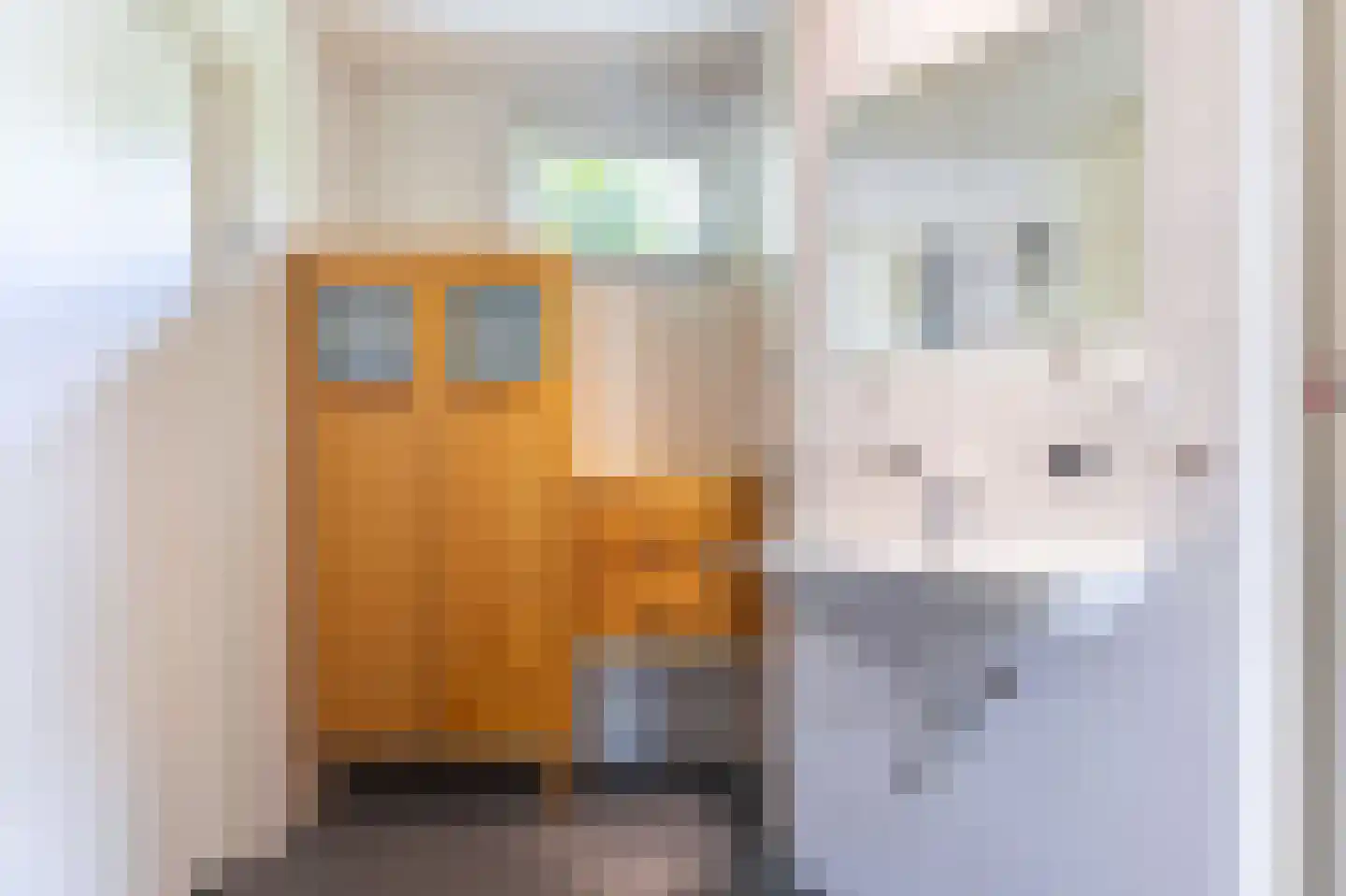 Refter 1 Blokker thumbnail 21