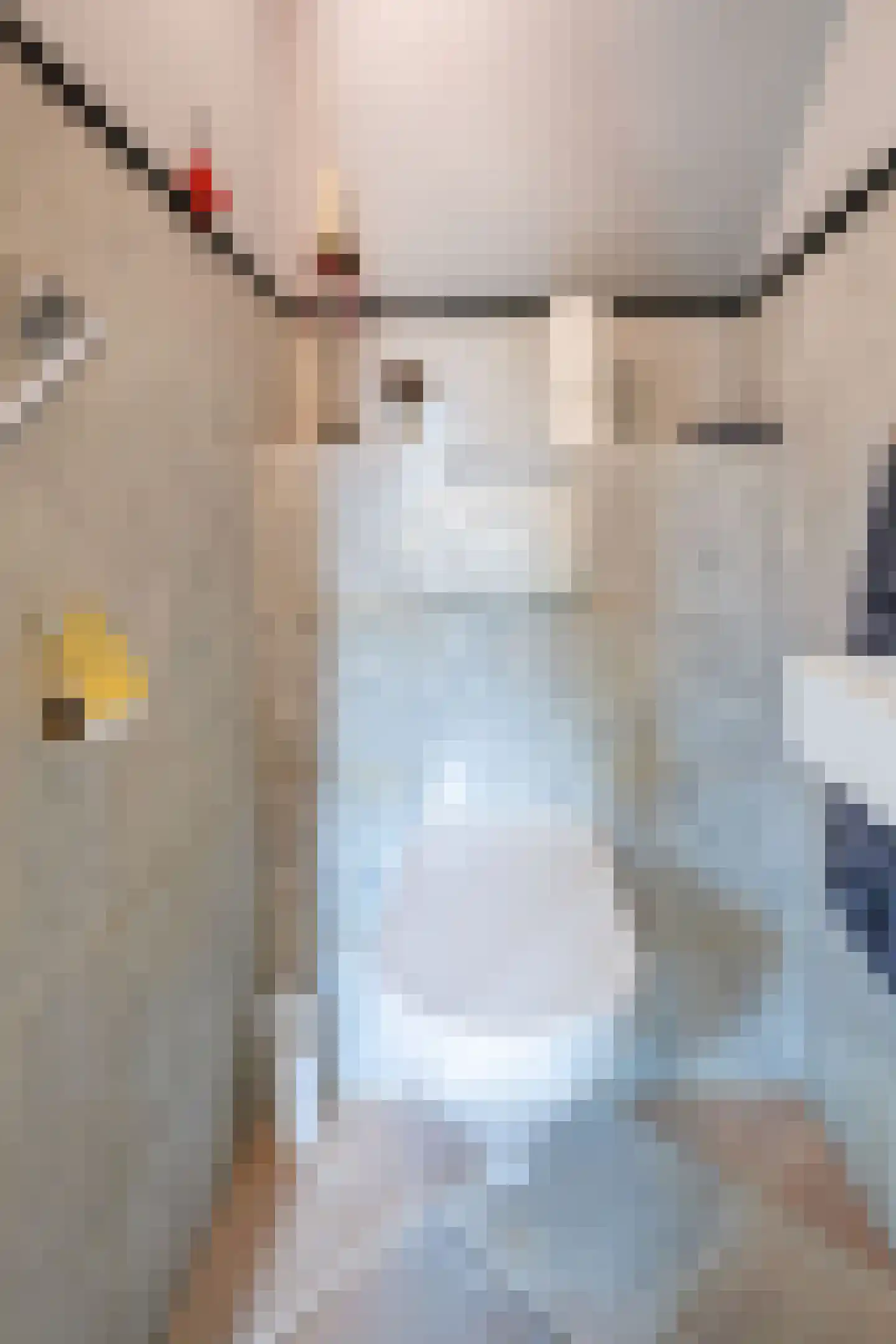 Refter 1 Blokker thumbnail 22