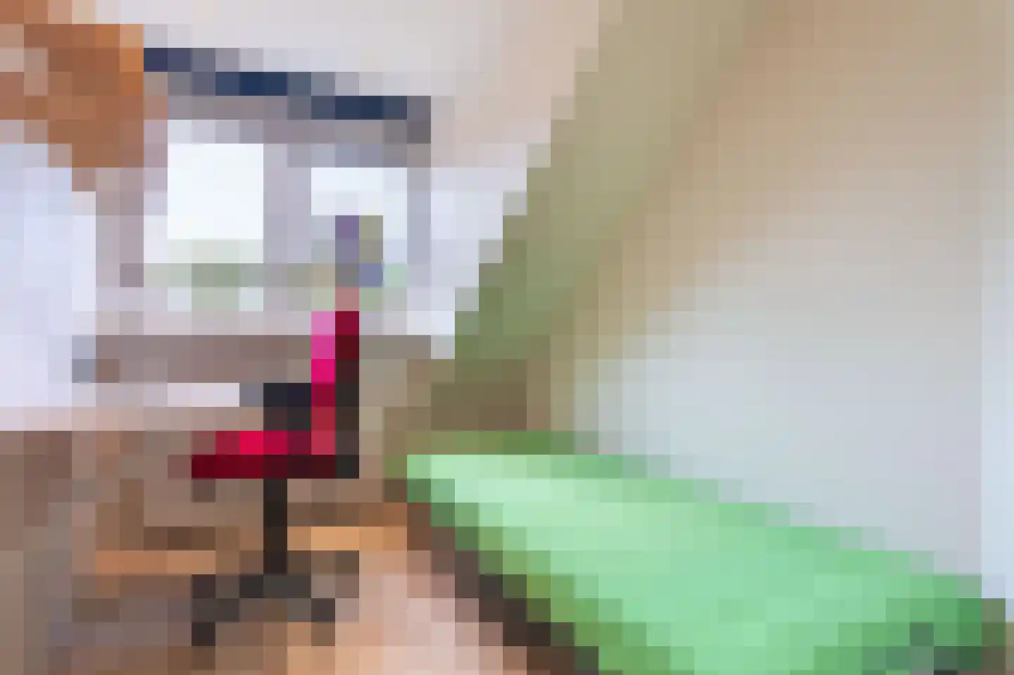 Refter 1 Blokker thumbnail 32