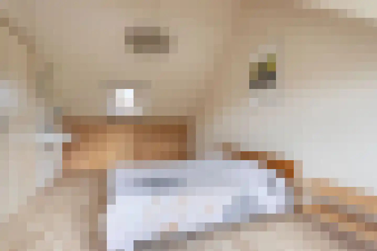 Refter 1 Blokker thumbnail 34