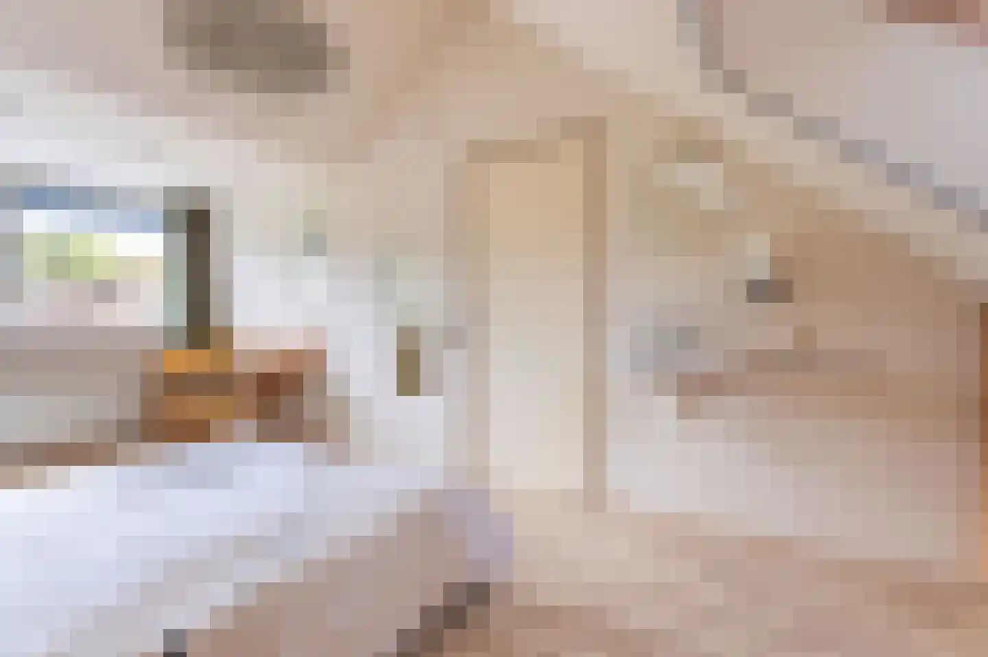 Refter 1 Blokker thumbnail 35