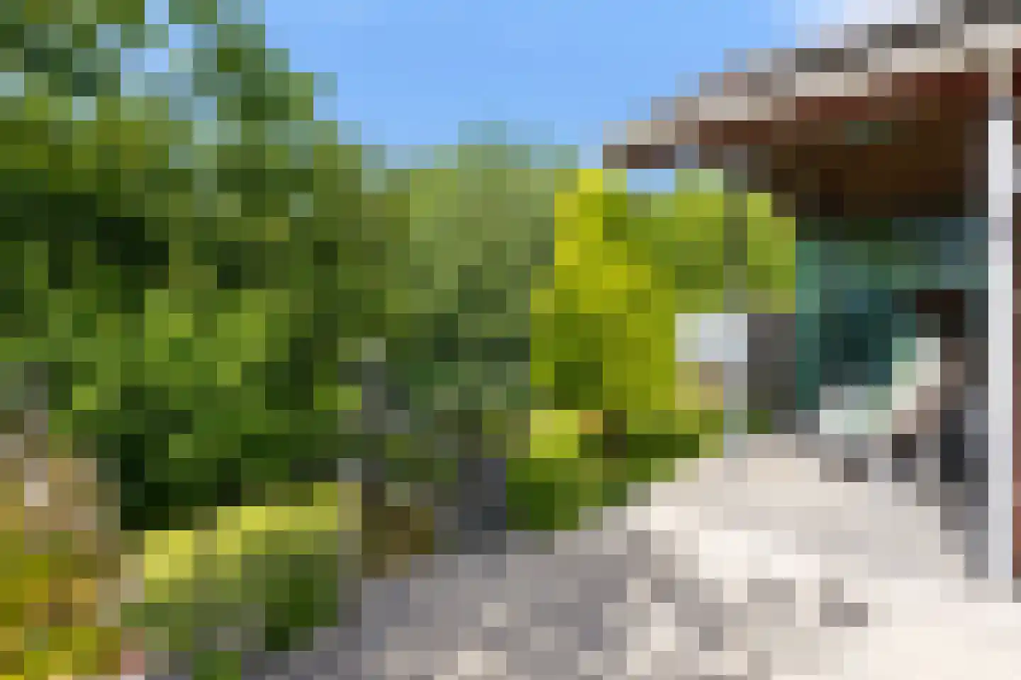 Refter 1 Blokker thumbnail 42