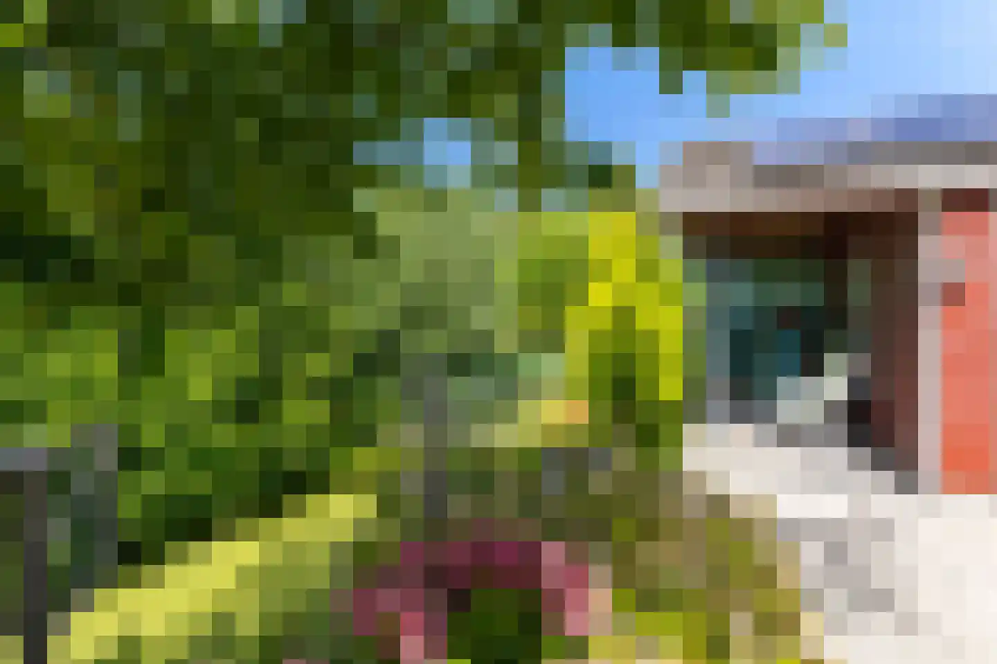 Refter 1 Blokker thumbnail 43