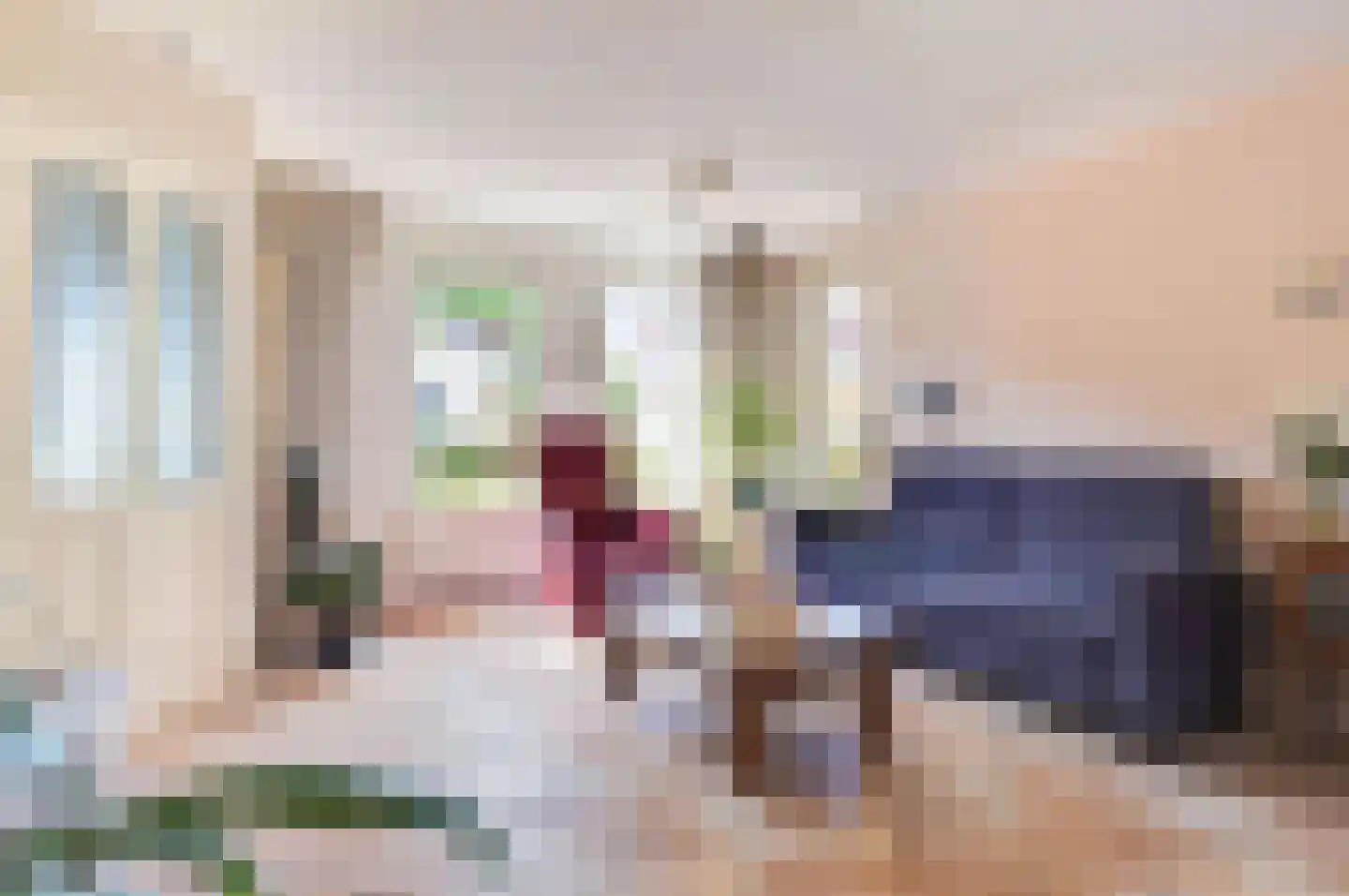 Refter 1 Blokker thumbnail 8