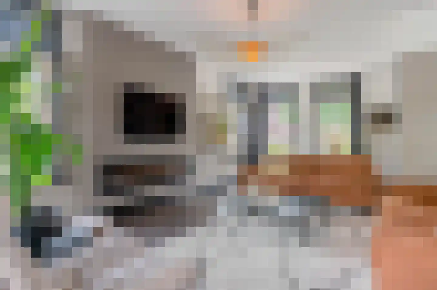 Refter 12 Winschoten thumbnail 18