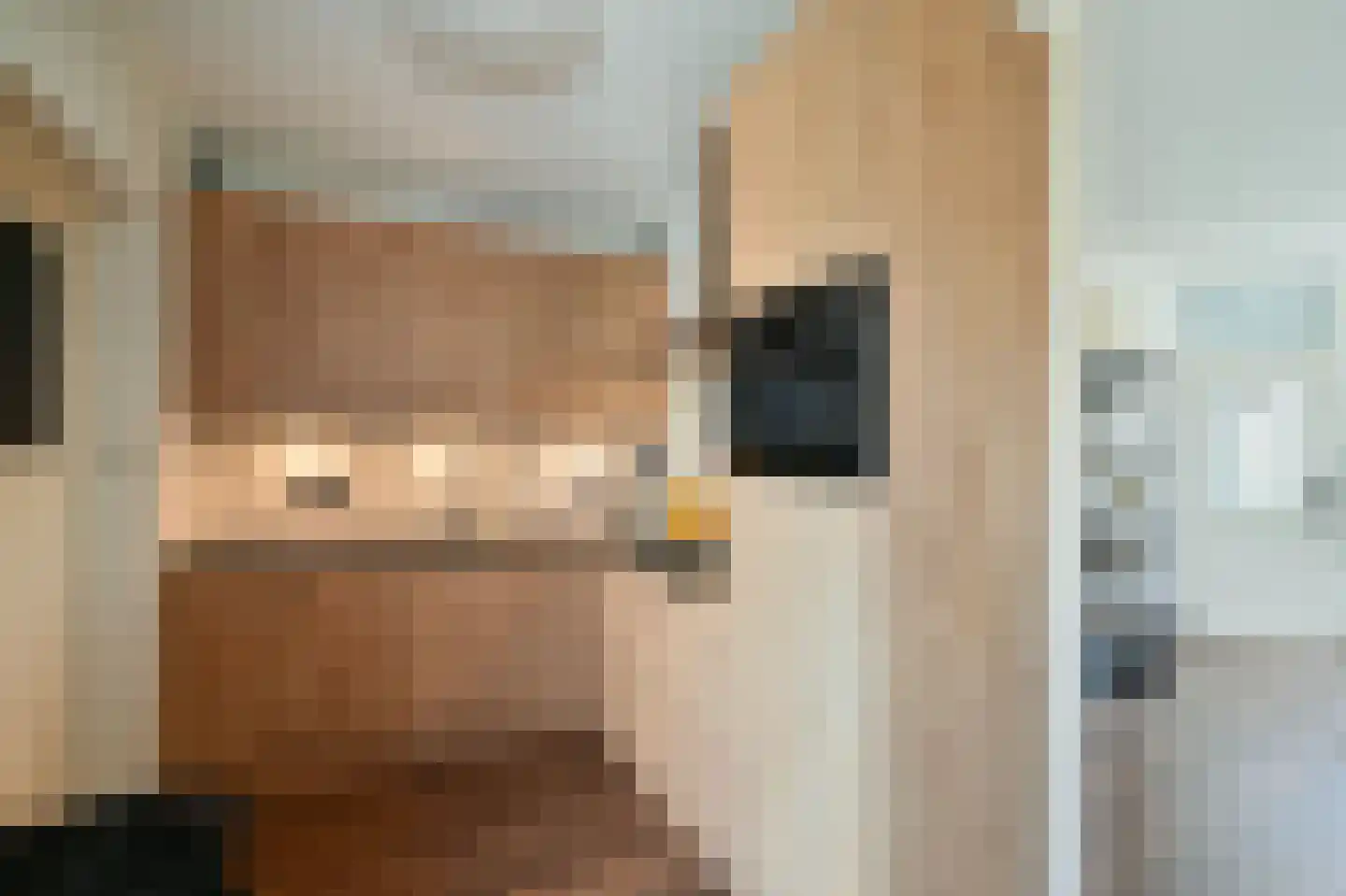 Refter 2 Blokker thumbnail 12