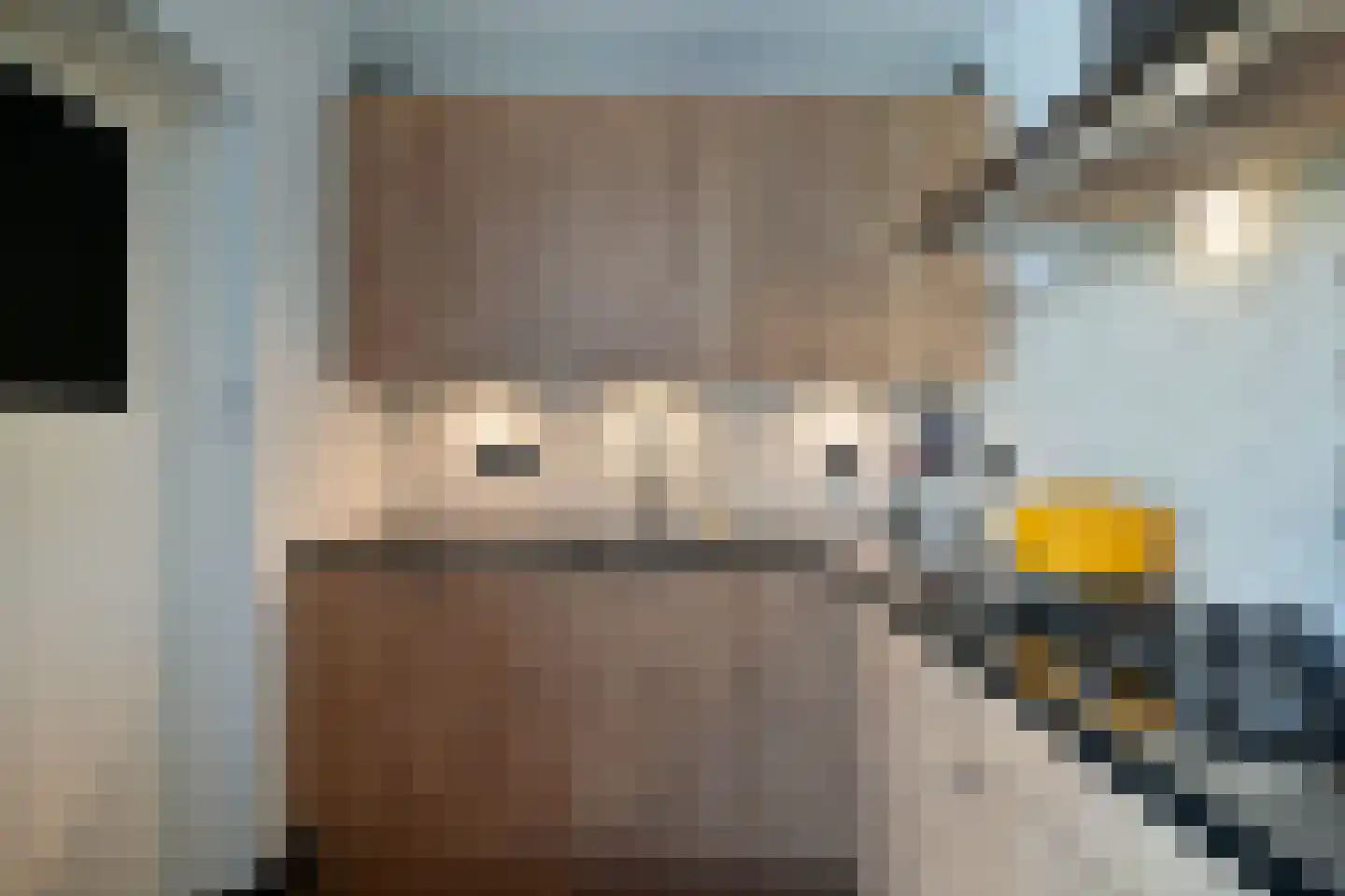 Refter 2 Blokker thumbnail 13