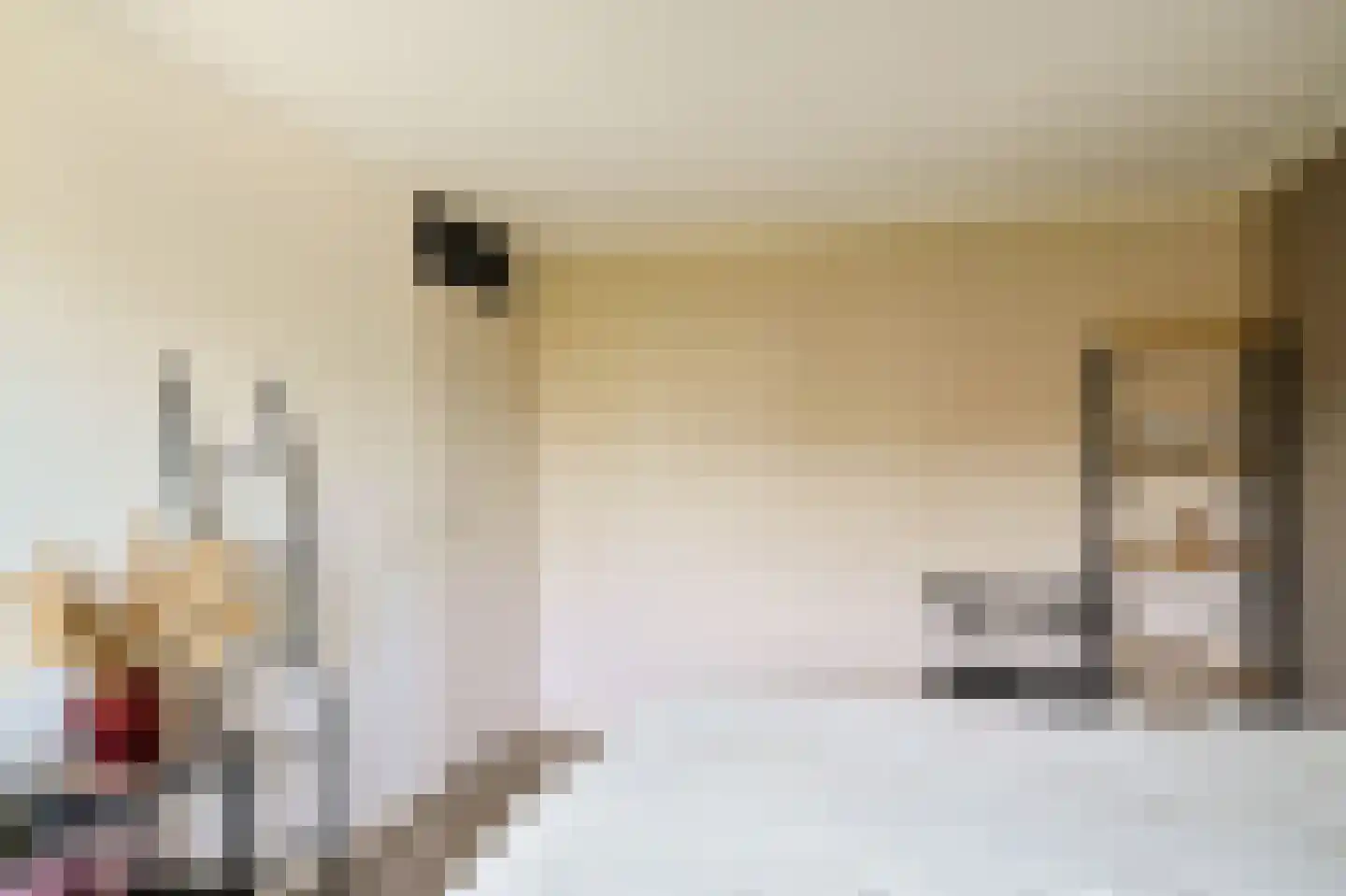 Refter 2 Blokker thumbnail 16