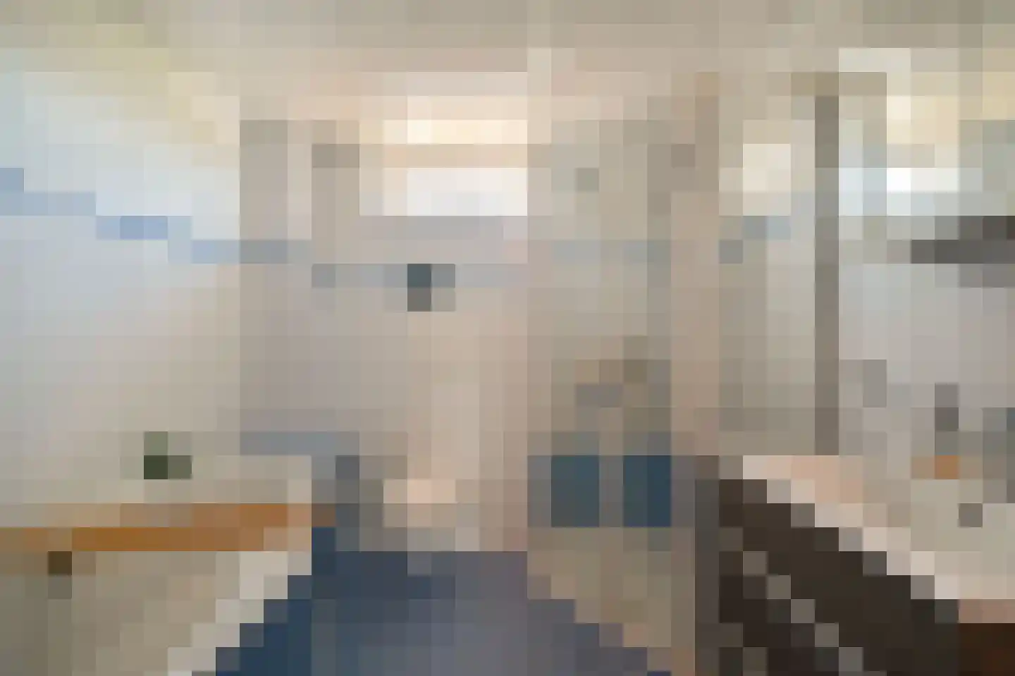 Refter 2 Blokker thumbnail 20