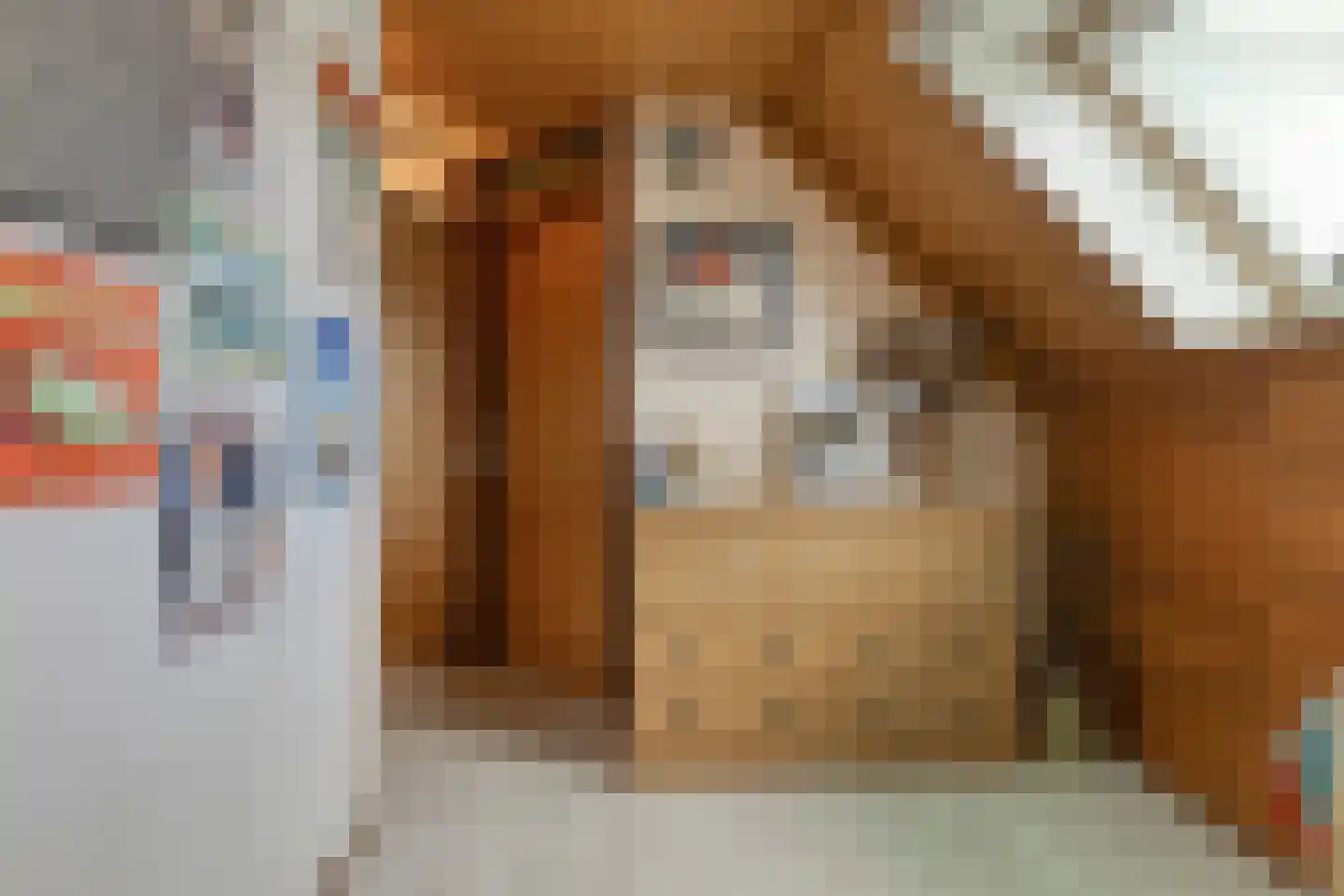 Refter 22 Grootebroek thumbnail 33