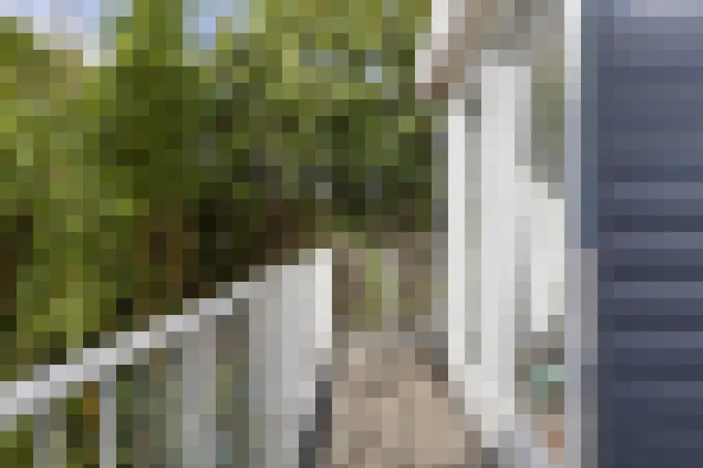 Refter 22 Grootebroek thumbnail 36