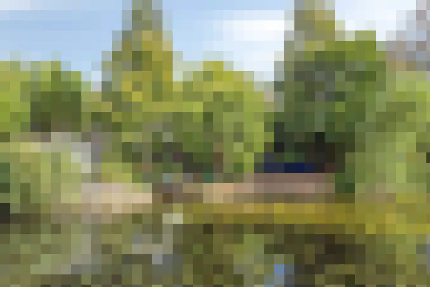 Refter 22 Grootebroek thumbnail 4