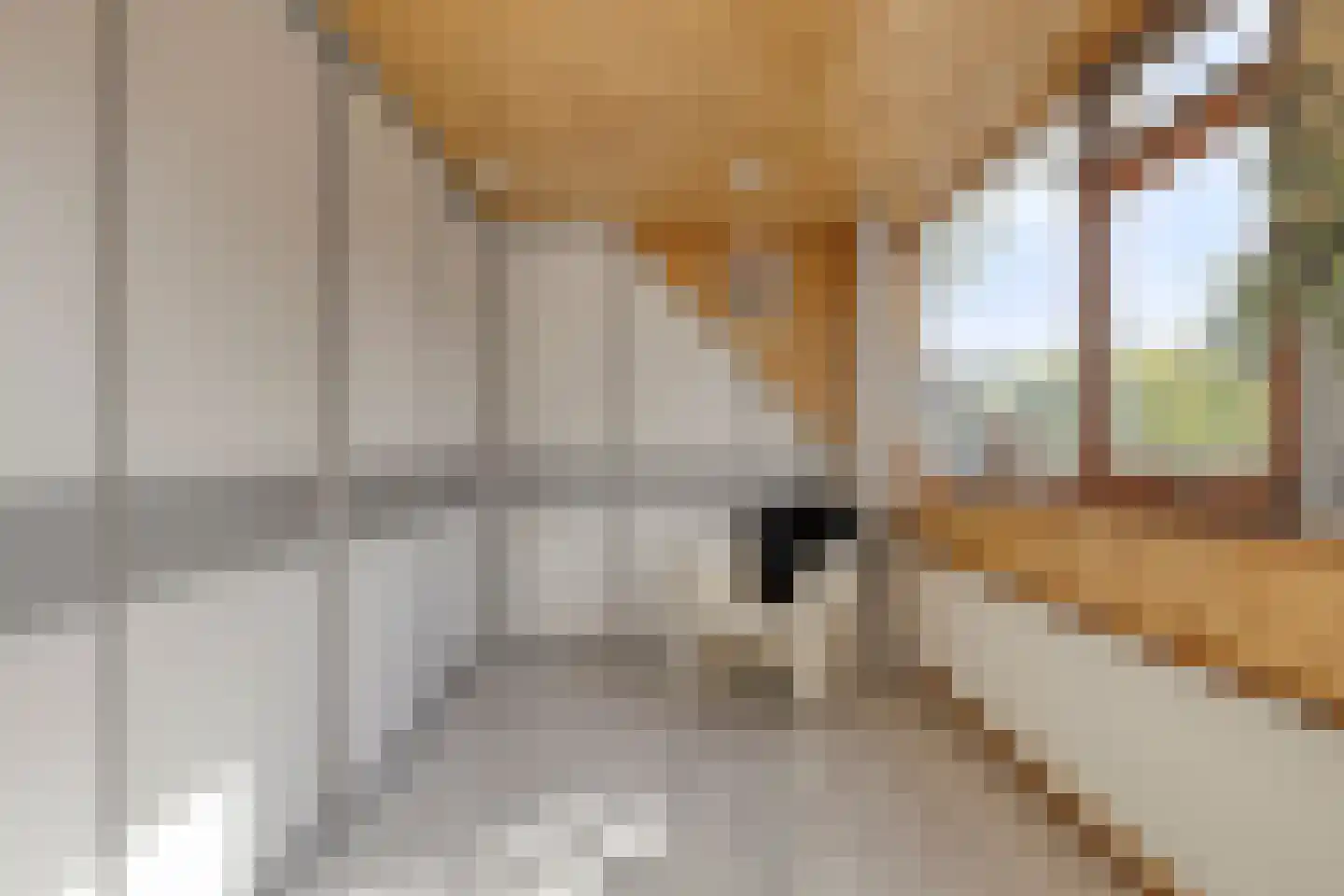 Refter 22 Grootebroek thumbnail 43