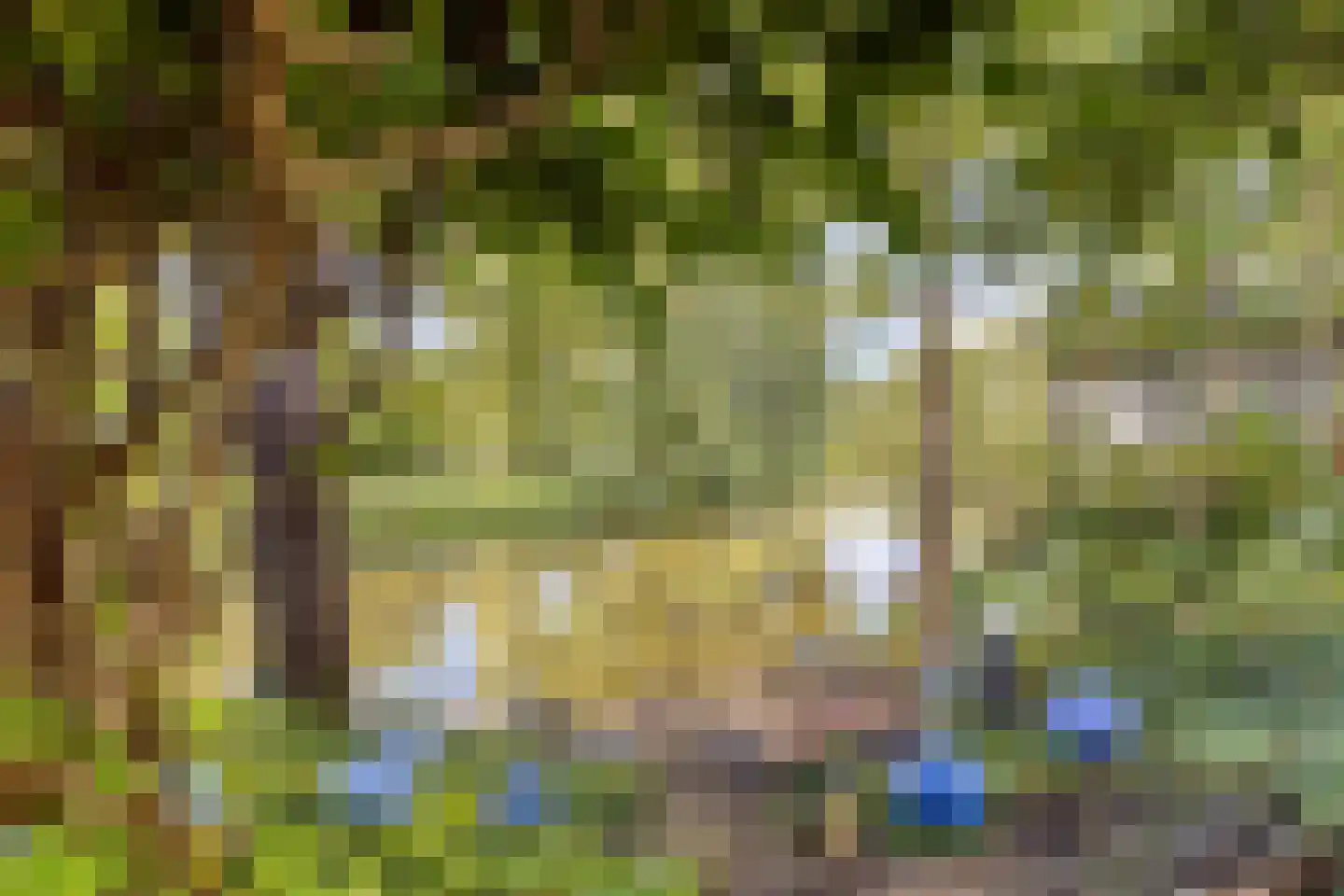 Refter 22 Grootebroek thumbnail 5