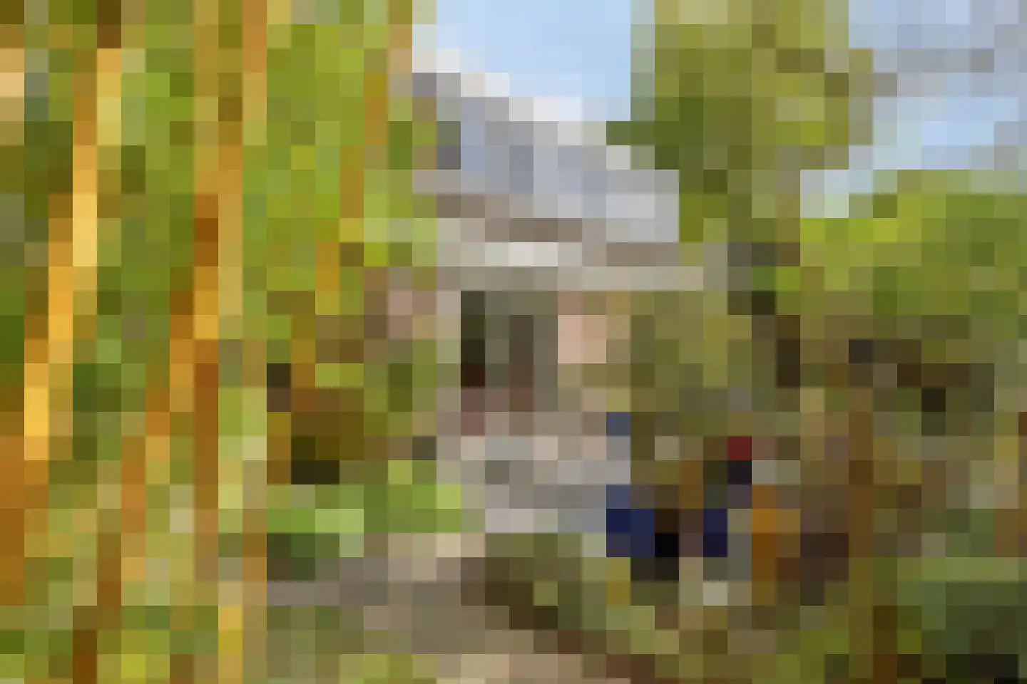Refter 22 Grootebroek thumbnail 50