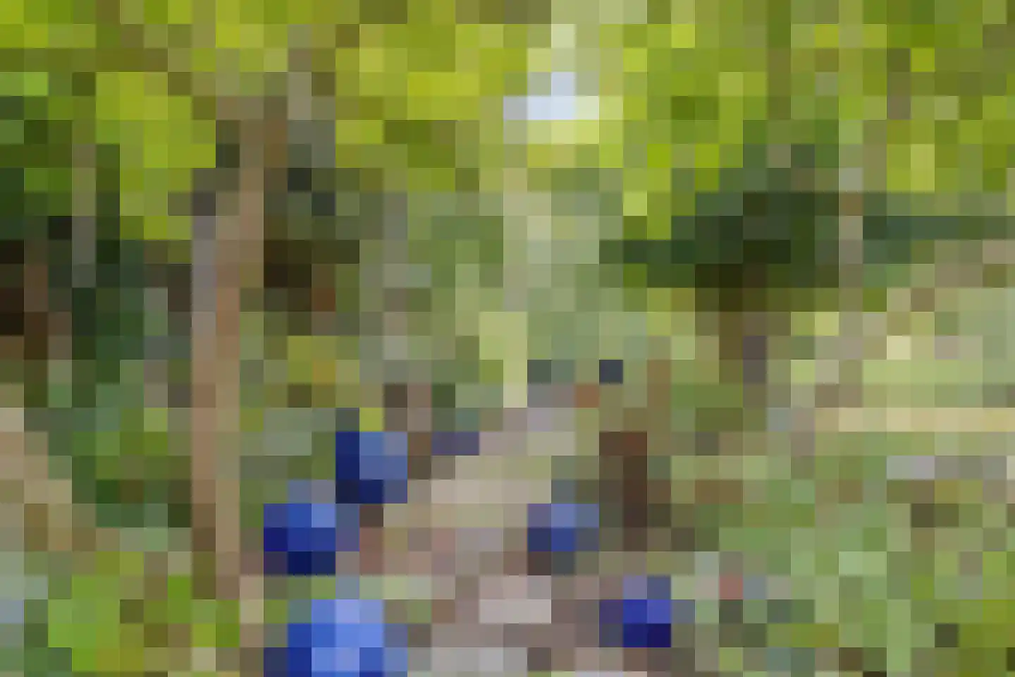 Refter 22 Grootebroek thumbnail 51