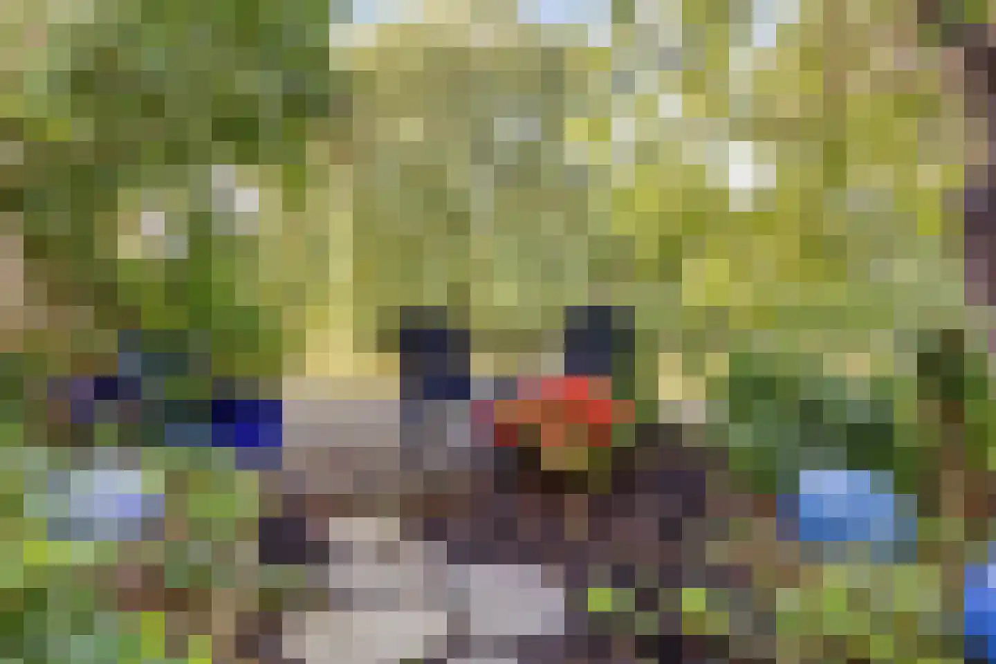 Refter 22 Grootebroek thumbnail 52