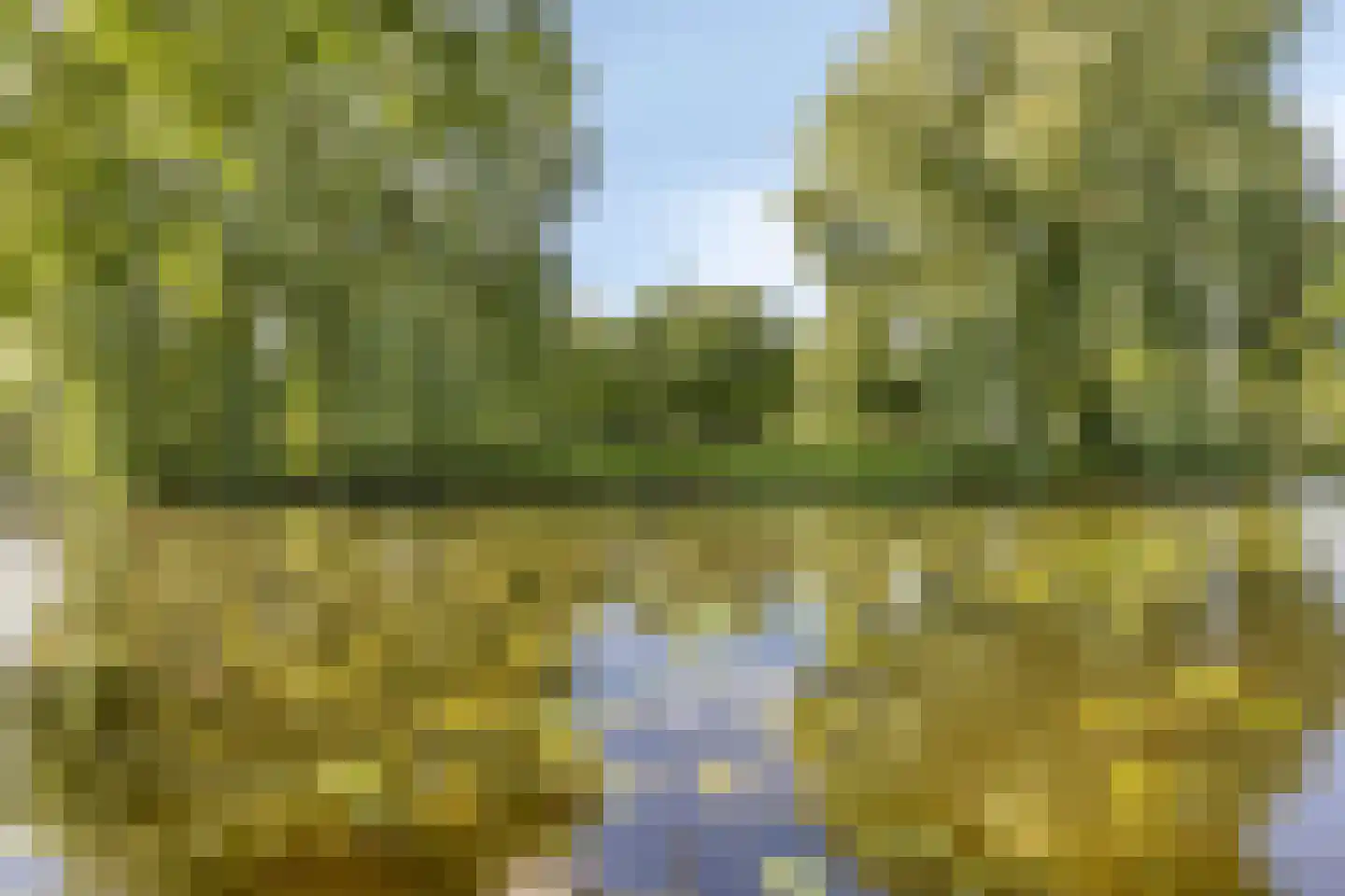 Refter 22 Grootebroek thumbnail 54