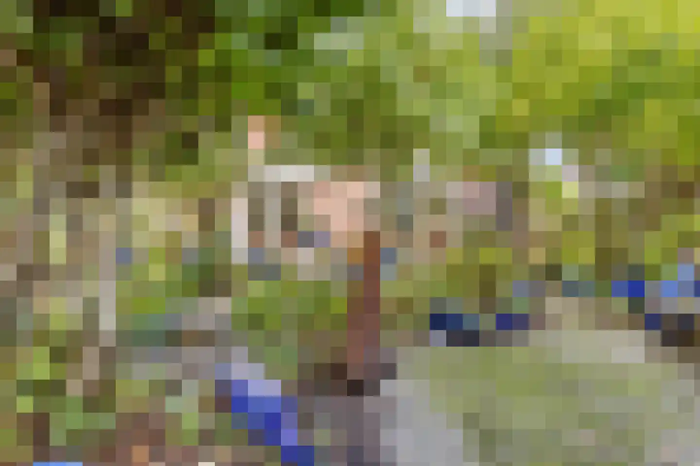 Refter 22 Grootebroek thumbnail 58