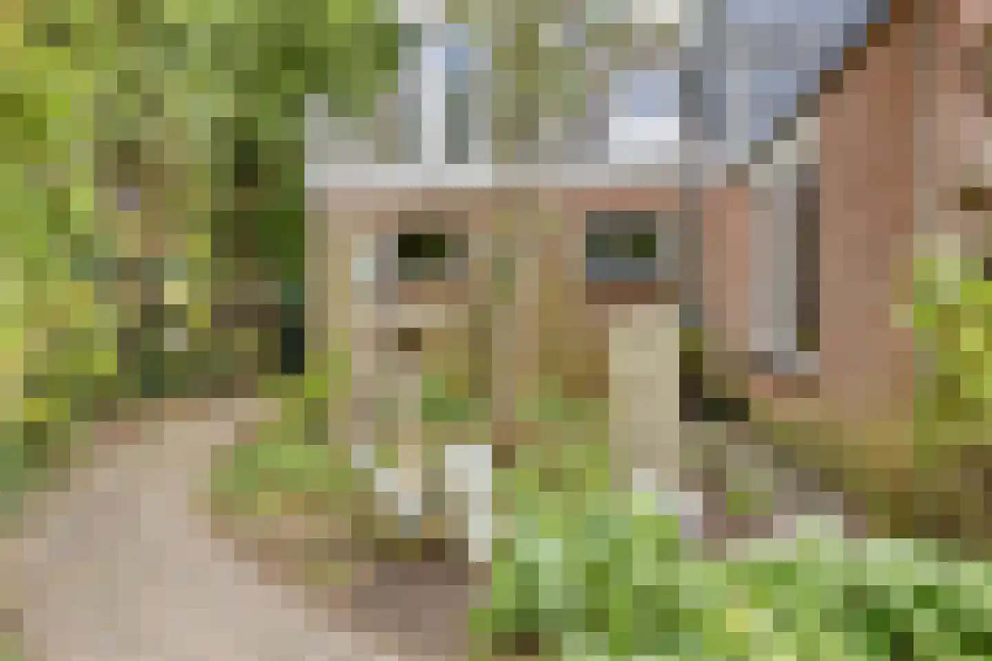 Refter 22 Grootebroek thumbnail 59