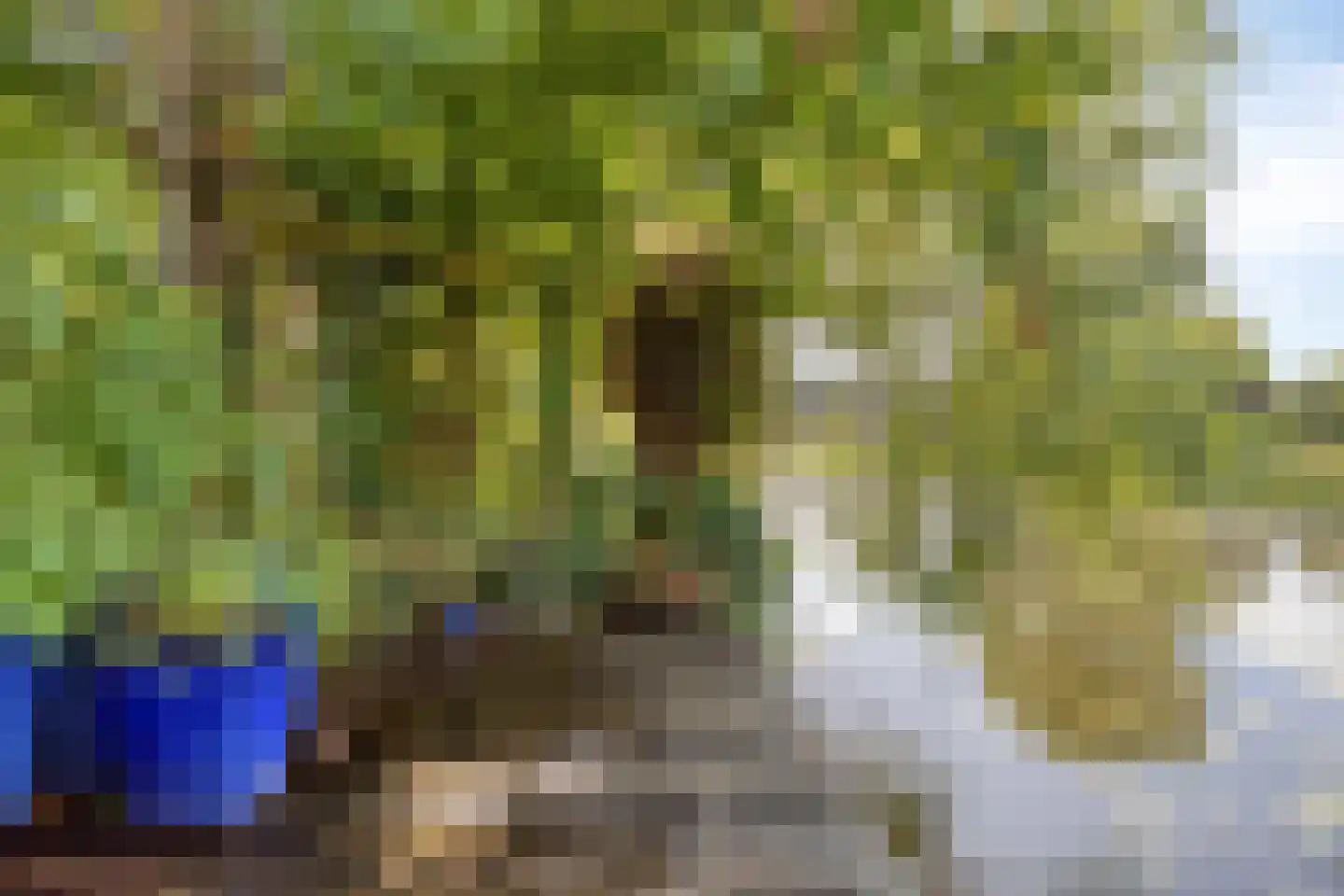 Refter 22 Grootebroek thumbnail 6