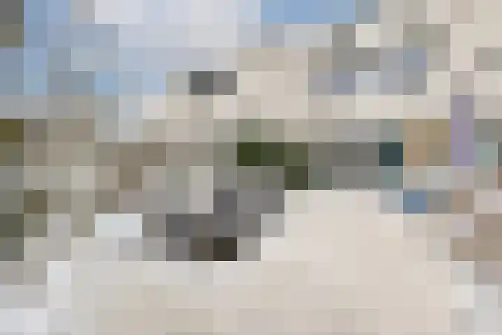 Refter 35 Zwijndrecht thumbnail 13