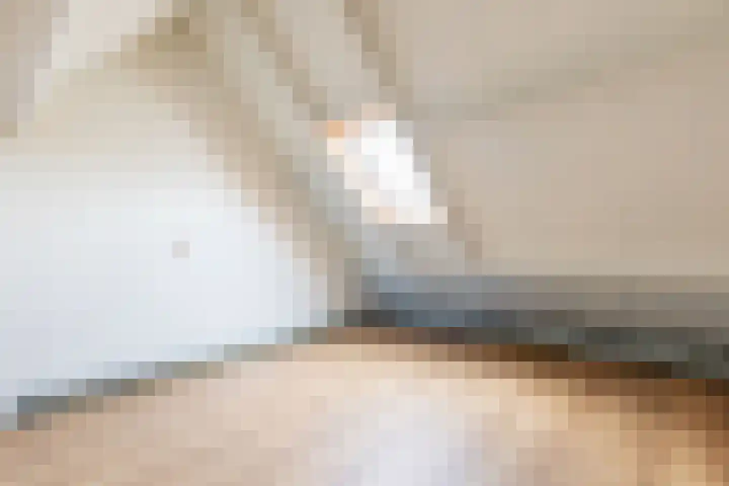 Refter 53 Grootebroek thumbnail 41