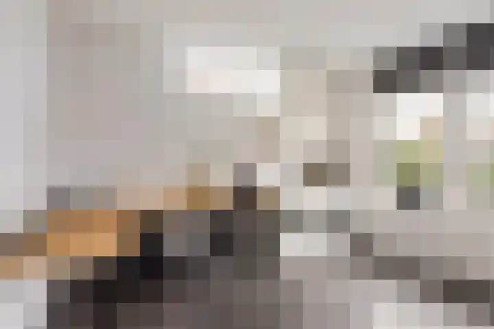 Refterstraat 38 Albergen thumbnail 12