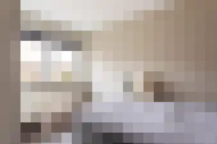 Refterstraat 38 Albergen thumbnail 16