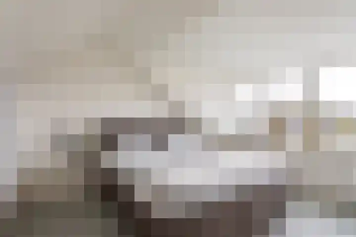Refterstraat 38 Albergen thumbnail 17
