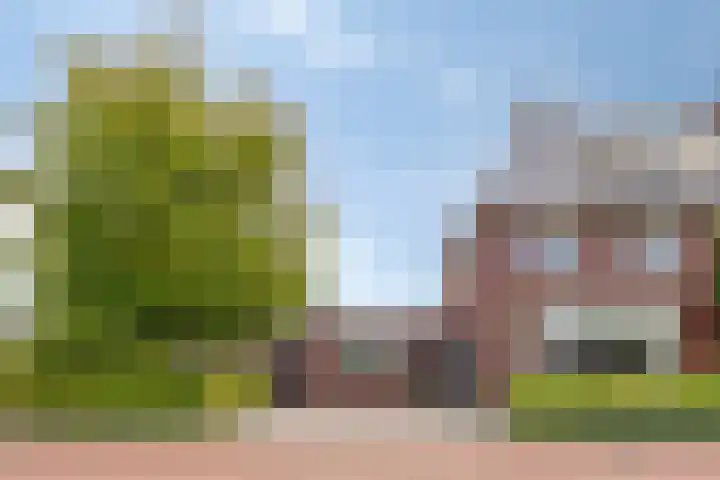 Refterstraat 44 in IJsselmuiden