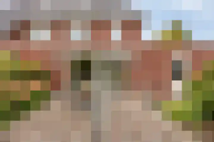 Refterstraat 44 IJsselmuiden thumbnail 38