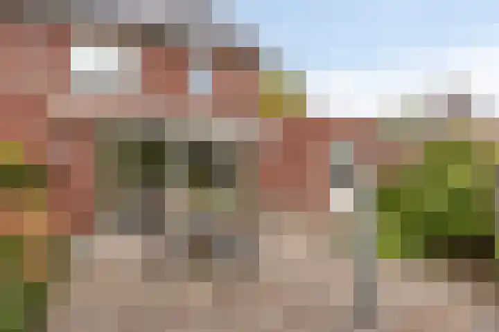 Refterstraat 44 IJsselmuiden thumbnail 39