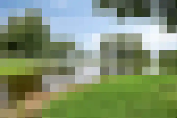 Refterstraat 44 IJsselmuiden thumbnail 4