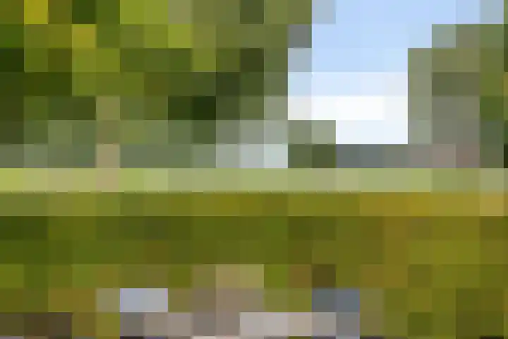 Refterstraat 44 IJsselmuiden thumbnail 5