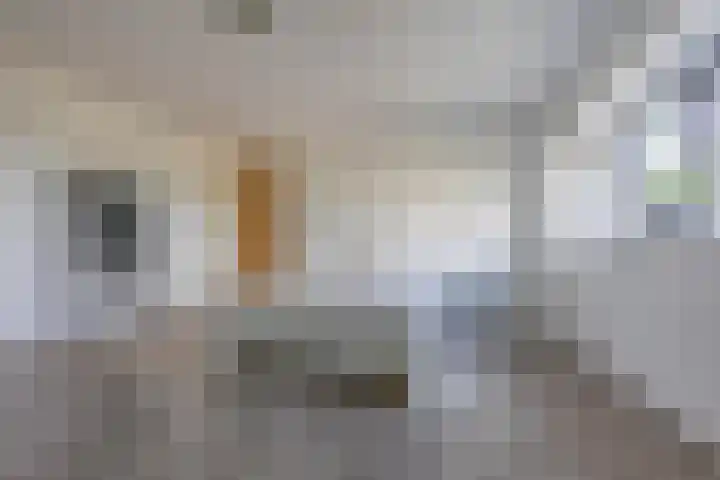 Regattaweg 134 Groningen thumbnail 16