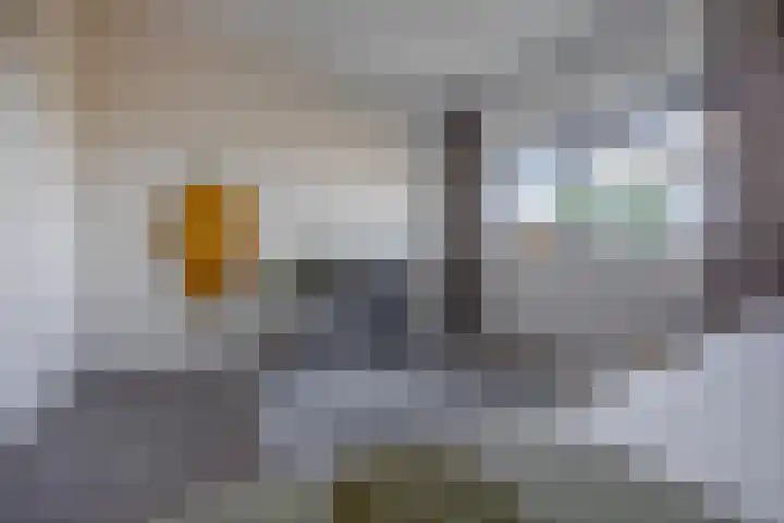 Regattaweg 134 Groningen thumbnail 18