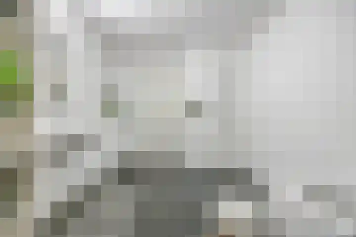 Regattaweg 134 Groningen thumbnail 21