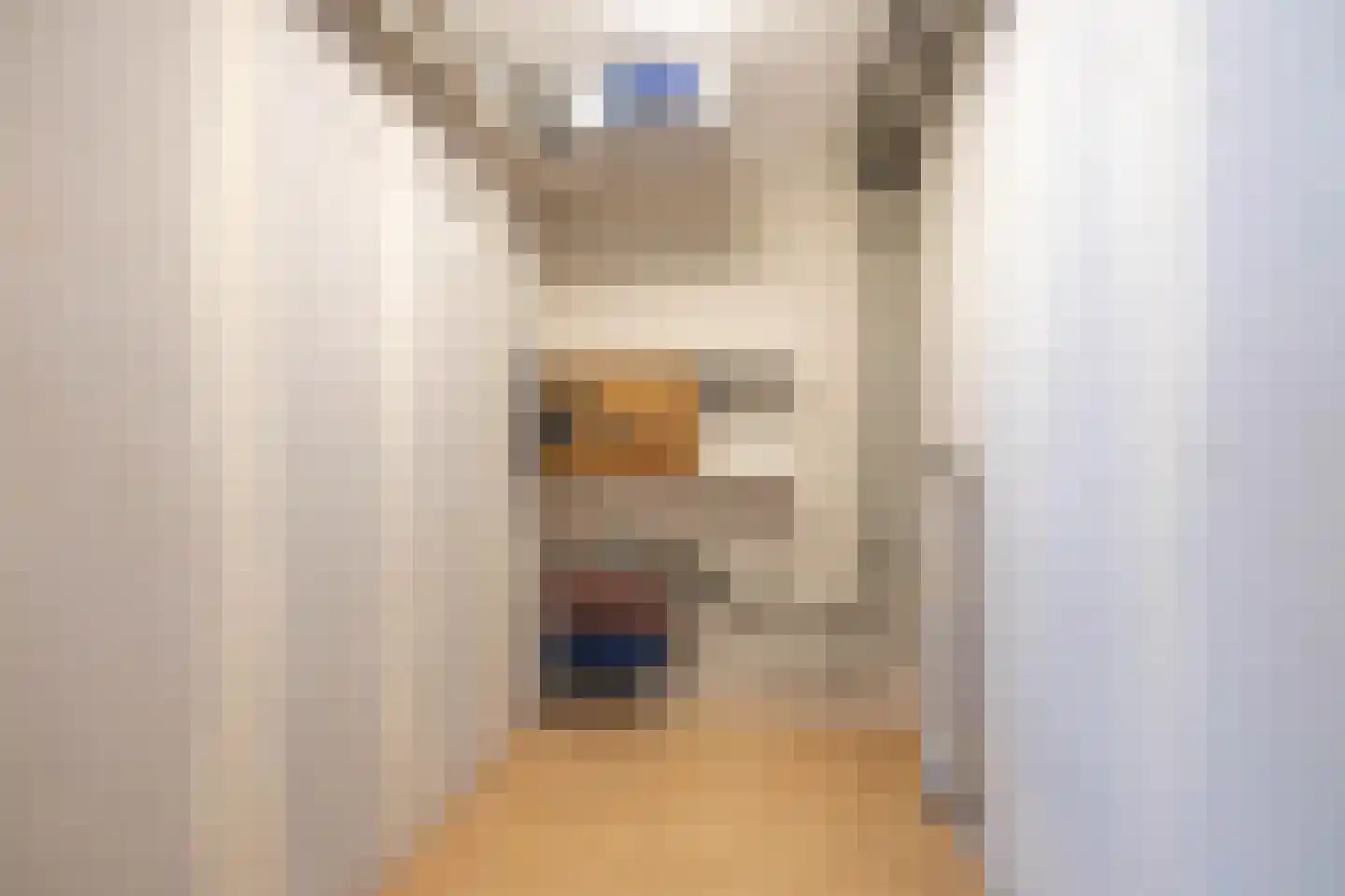 Regattaweg 164 Groningen thumbnail 20