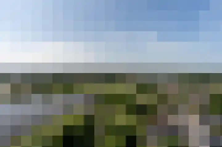 Regattaweg 190 Groningen thumbnail 21